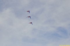 Venice kite festival_0556